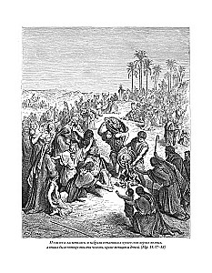 The Bible. Old Testament Volume 1 and 2. New Testament