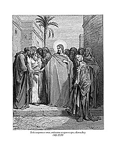 The Bible. Old Testament Volume 1 and 2. New Testament