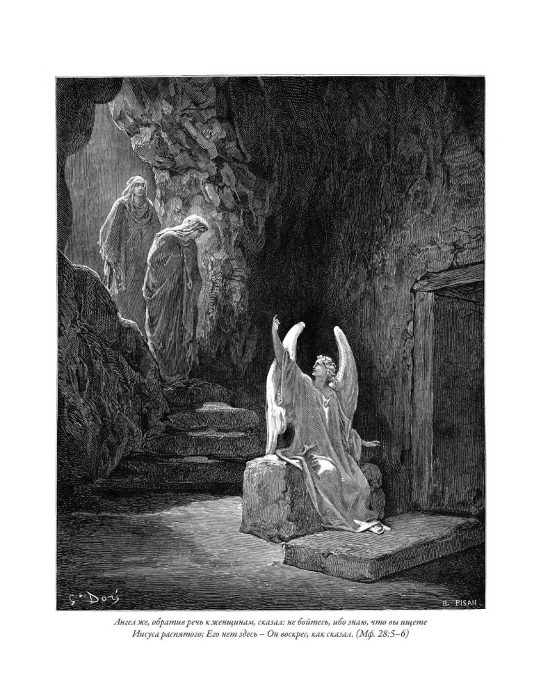 The Bible. Old Testament Volume 1 and 2. New Testament