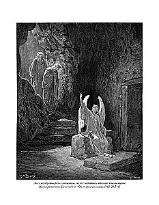 The Bible. Old Testament Volume 1 and 2. New Testament