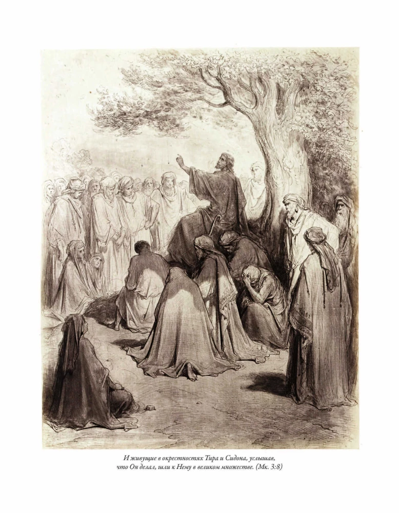 The Bible. Old Testament Volume 1 and 2. New Testament