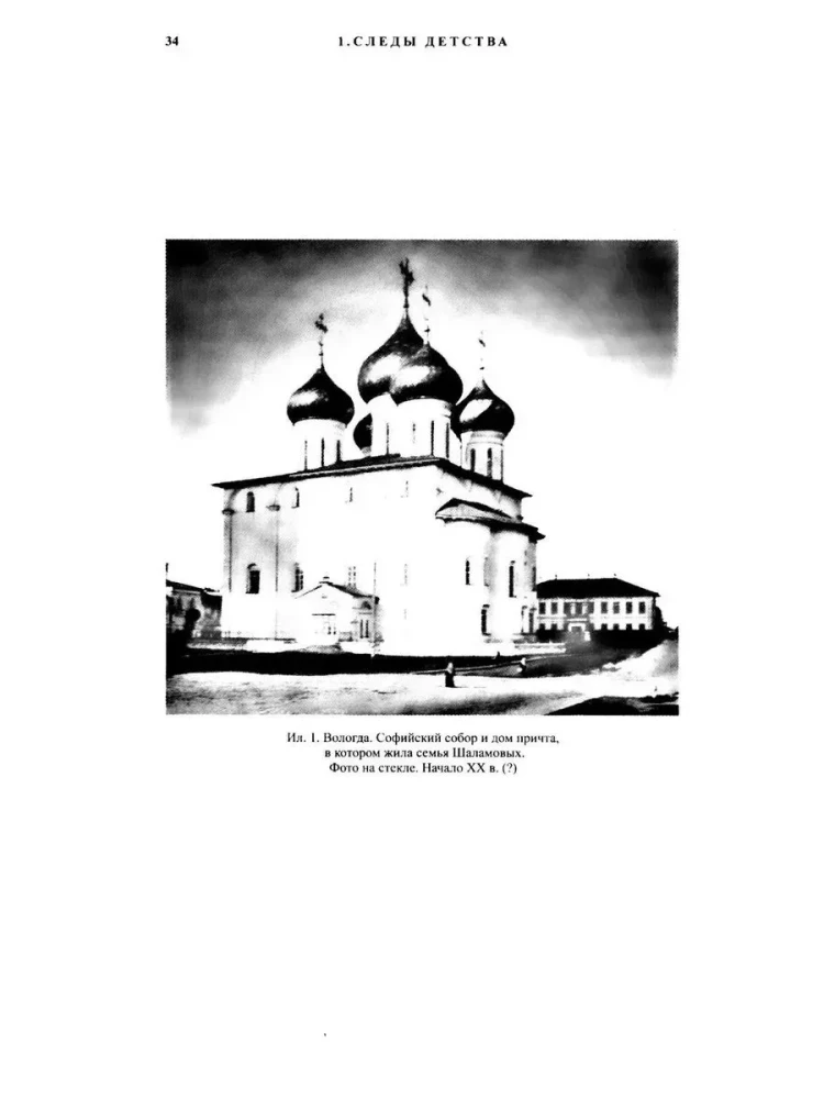 Писать жизнь. Варлам Шаламов. Биография и поэтика