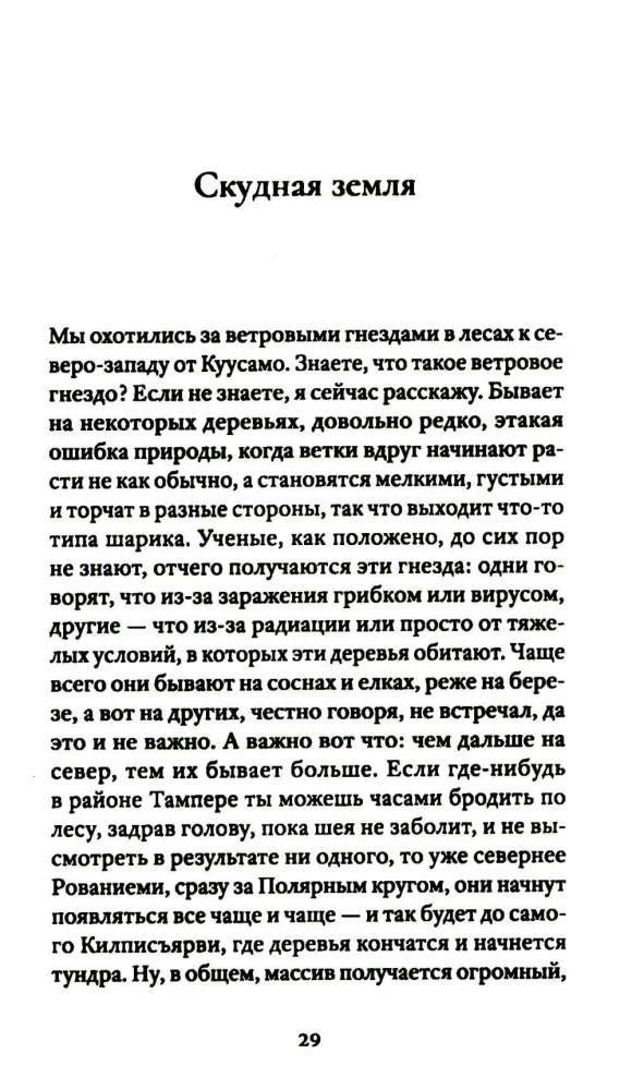 Sonnet with an Irregular Rhyme Scheme. Stories