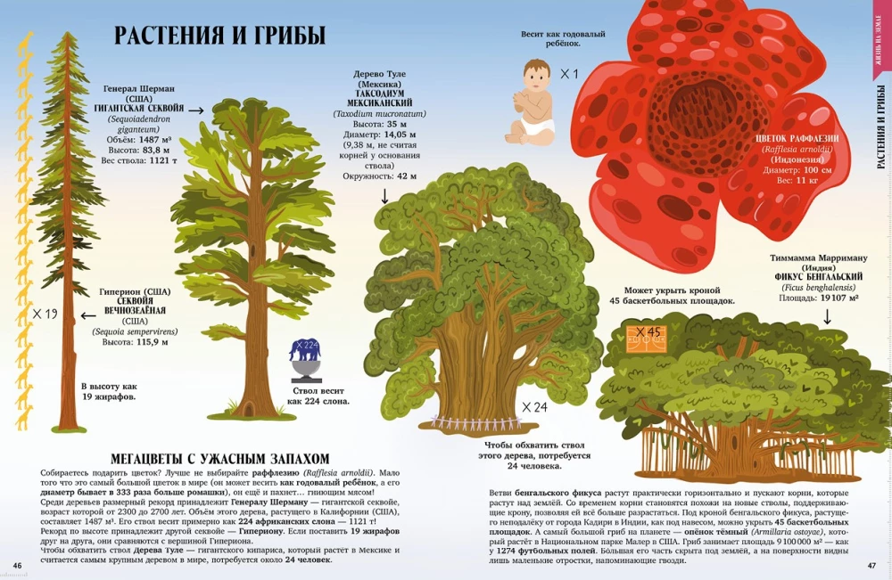 Žemė nuo atomo iki galaktikos. Pasaulio mastai skaičiais