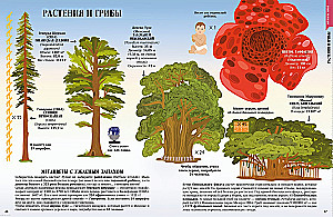Žemė nuo atomo iki galaktikos. Pasaulio mastai skaičiais