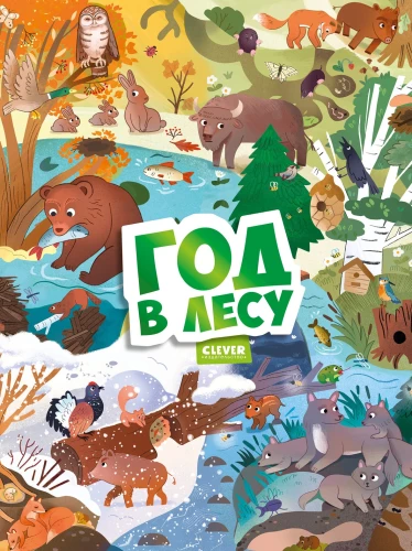 A Year in the Forest