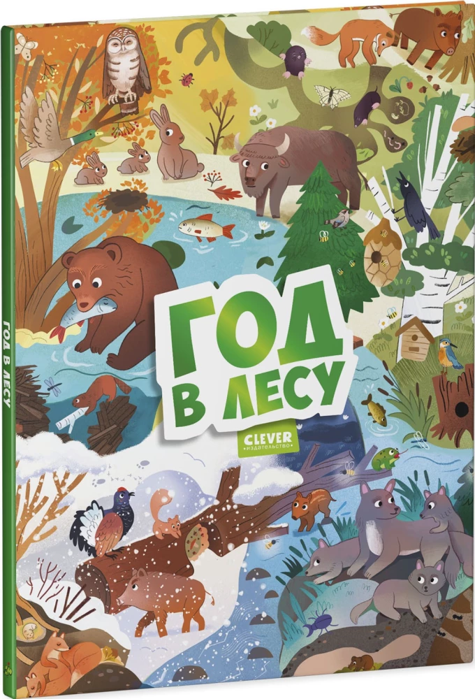 Год в лесу