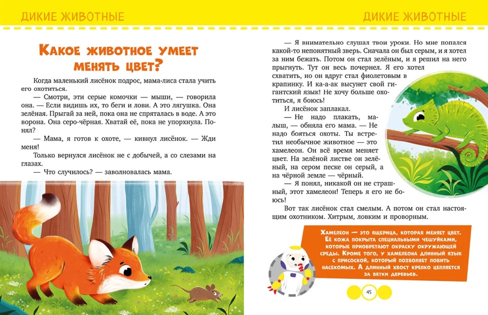 About Everything in the World