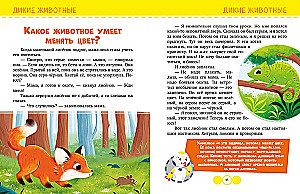 About Everything in the World