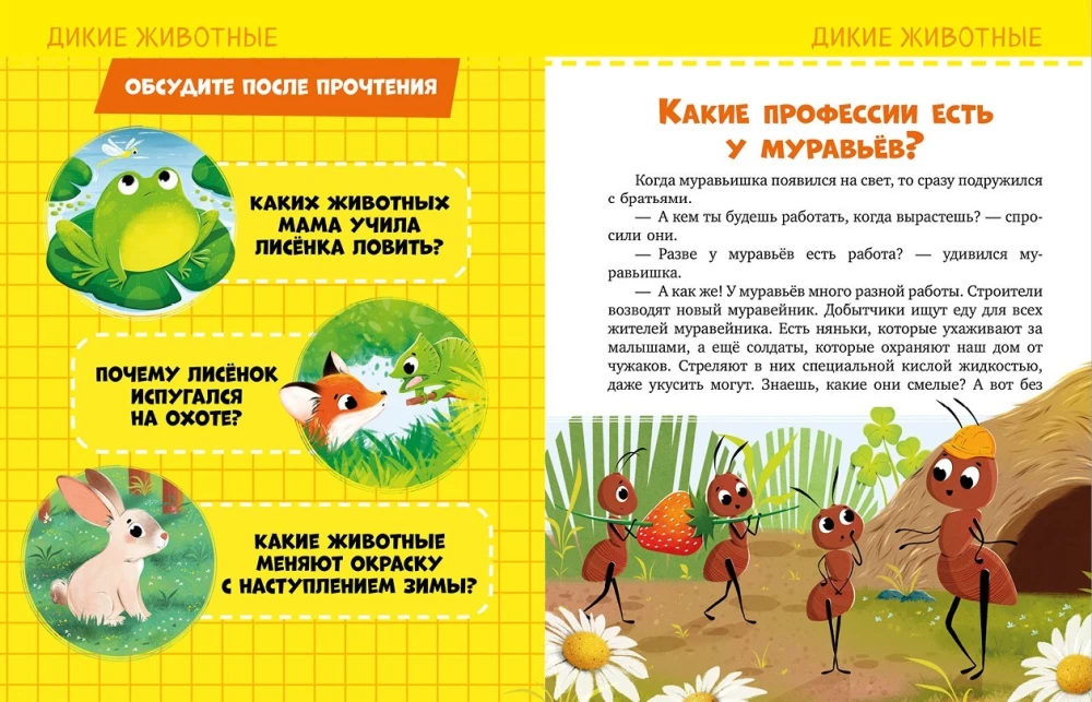 About Everything in the World