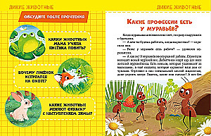 About Everything in the World