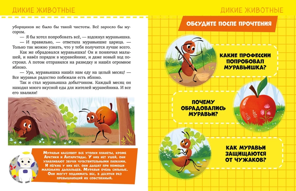 About Everything in the World