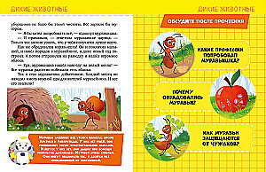 About Everything in the World