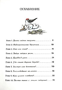 Kur dingo zuikiai? Miško detektyvas