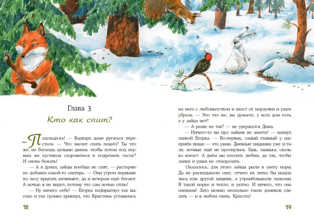 Kur dingo zuikiai? Miško detektyvas