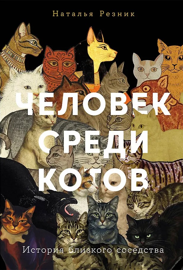 A Person Among Cats: The Story of Close Proximity