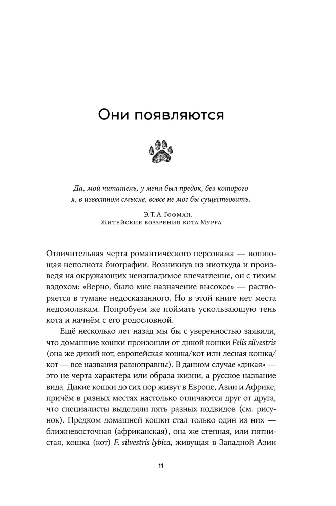 Человек среди котов: История близкого соседства