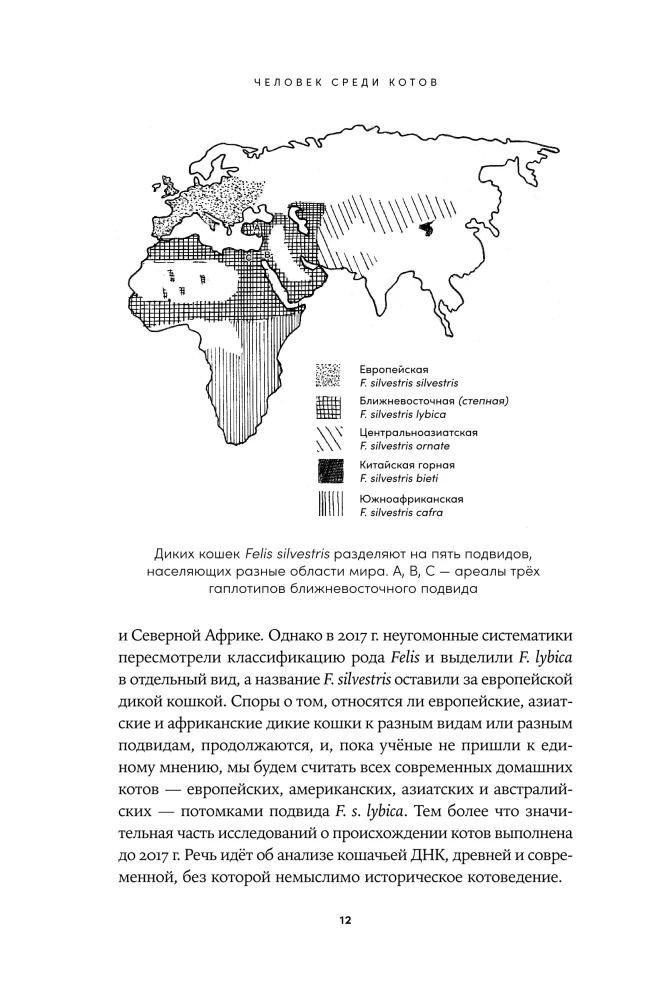 Человек среди котов: История близкого соседства