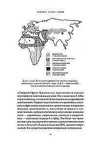 Человек среди котов: История близкого соседства