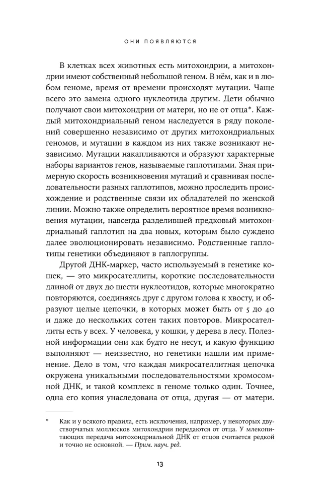 Человек среди котов: История близкого соседства