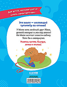 How Mitya Dreamed of a Dog