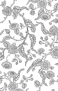 Indija. Prieka krāsas. Krāsojamā grāmata pret stresu