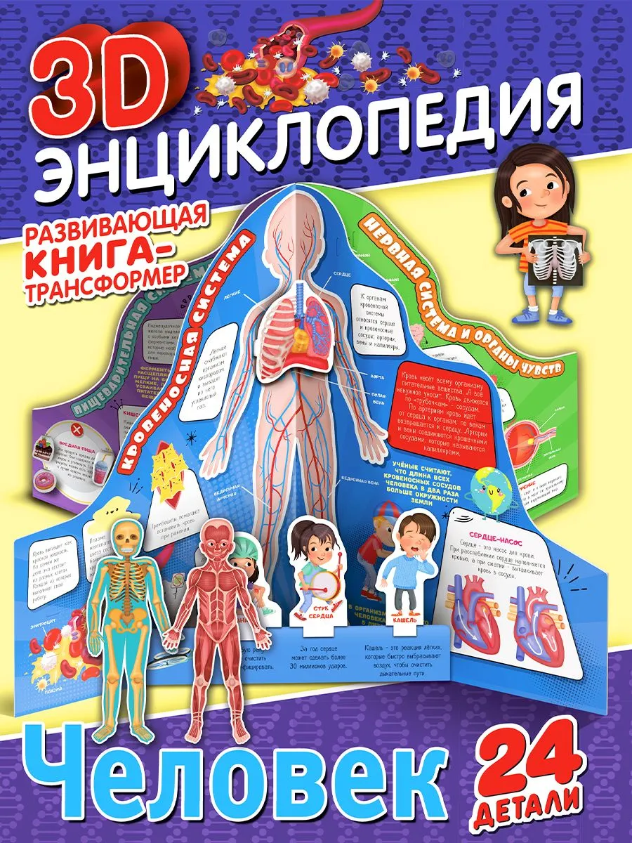 Książka-transformer. 3D-encyklopedia. Człowiek
