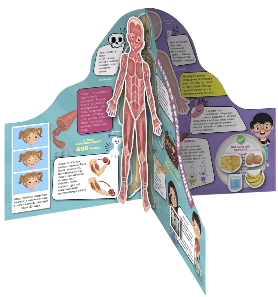 Transformer Book. 3D Encyclopedia. Human