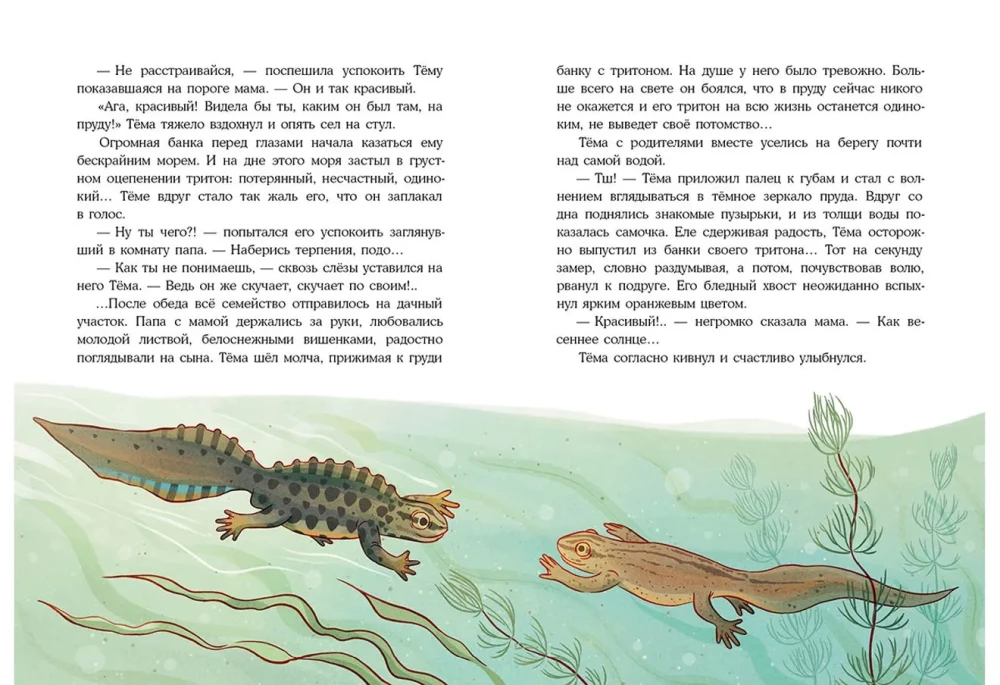 Ančių langas: apsakymų rinkinys