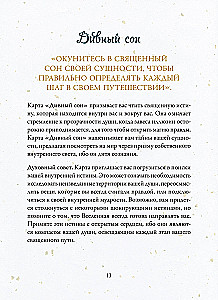 Wróżka - Echo podświadomości (40 kart + instrukcja)