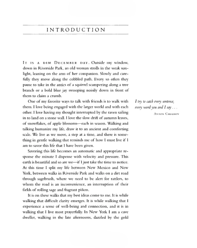 Walking In This World