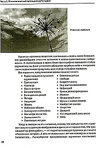 One Image - Many Meanings. The Use of Photographs in Psychological Counseling, Education, and Coaching