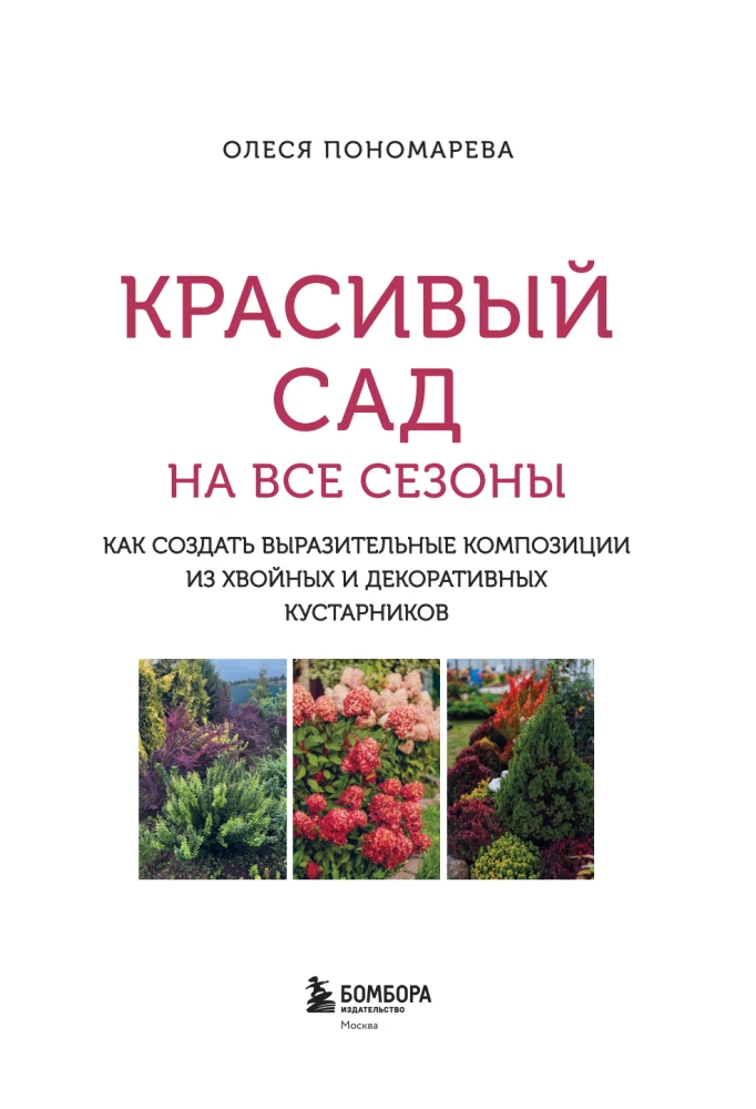 A Beautiful Garden for All Seasons. How to Create Expressive Compositions of Conifers and Decorative Shrubs