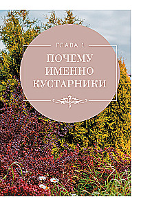 A Beautiful Garden for All Seasons. How to Create Expressive Compositions of Conifers and Decorative Shrubs