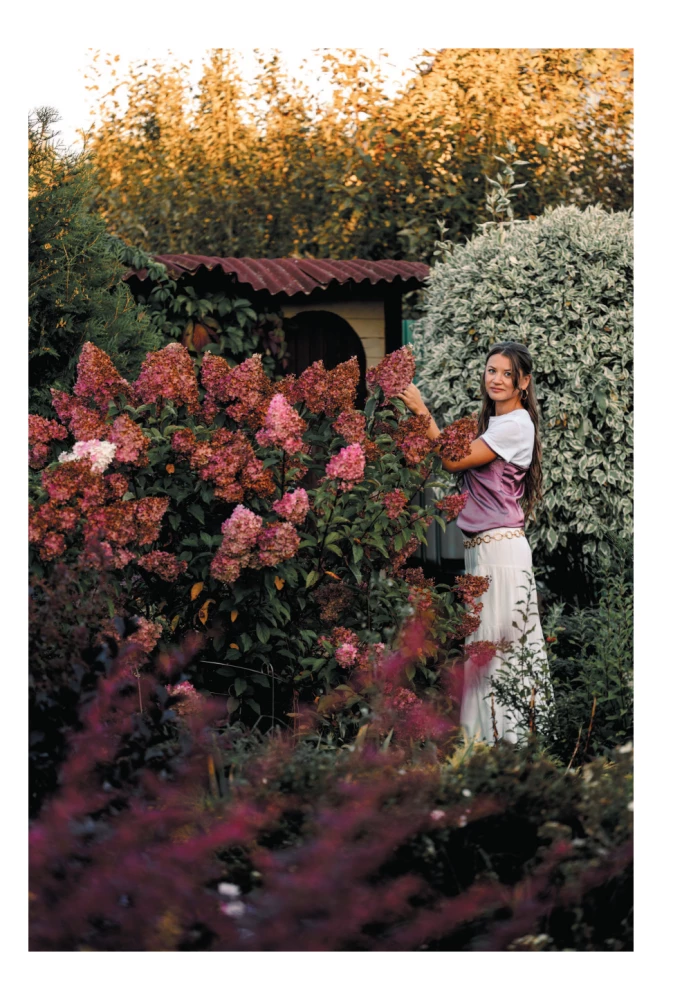 A Beautiful Garden for All Seasons. How to Create Expressive Compositions of Conifers and Decorative Shrubs