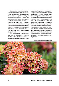 A Beautiful Garden for All Seasons. How to Create Expressive Compositions of Conifers and Decorative Shrubs