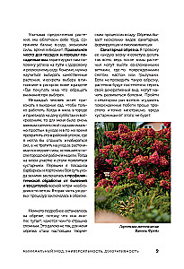 A Beautiful Garden for All Seasons. How to Create Expressive Compositions of Conifers and Decorative Shrubs