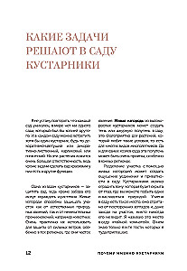 A Beautiful Garden for All Seasons. How to Create Expressive Compositions of Conifers and Decorative Shrubs