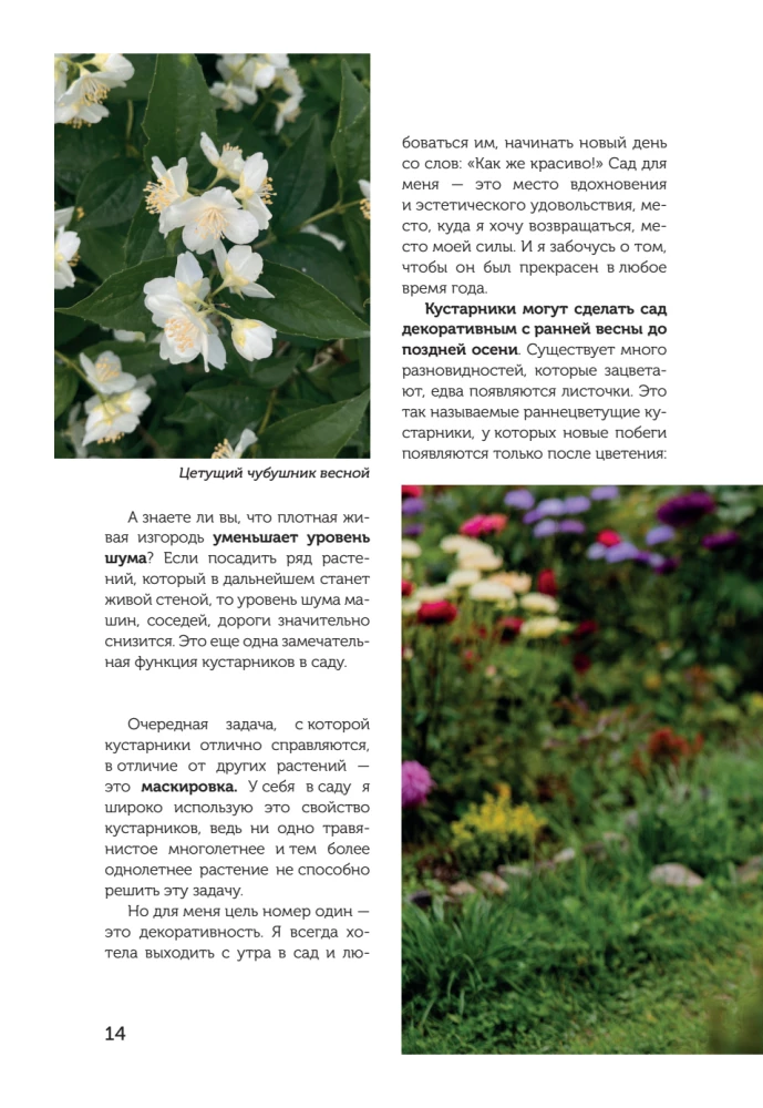 A Beautiful Garden for All Seasons. How to Create Expressive Compositions of Conifers and Decorative Shrubs