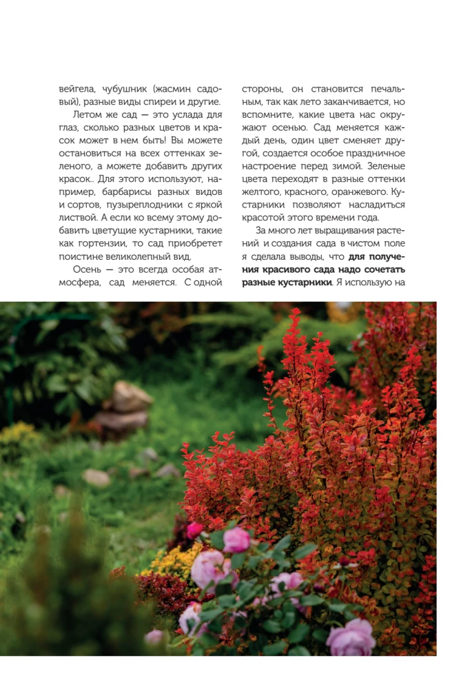 A Beautiful Garden for All Seasons. How to Create Expressive Compositions of Conifers and Decorative Shrubs
