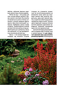 A Beautiful Garden for All Seasons. How to Create Expressive Compositions of Conifers and Decorative Shrubs