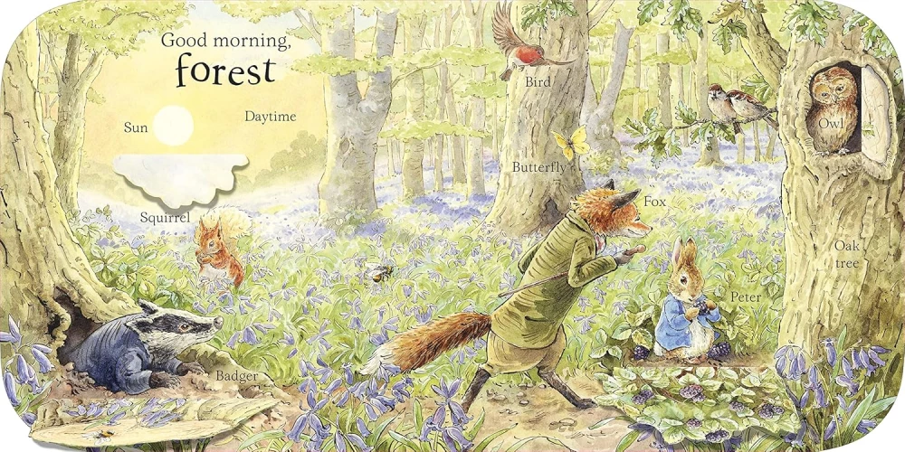 Peter Rabbit Peters First 100 Words