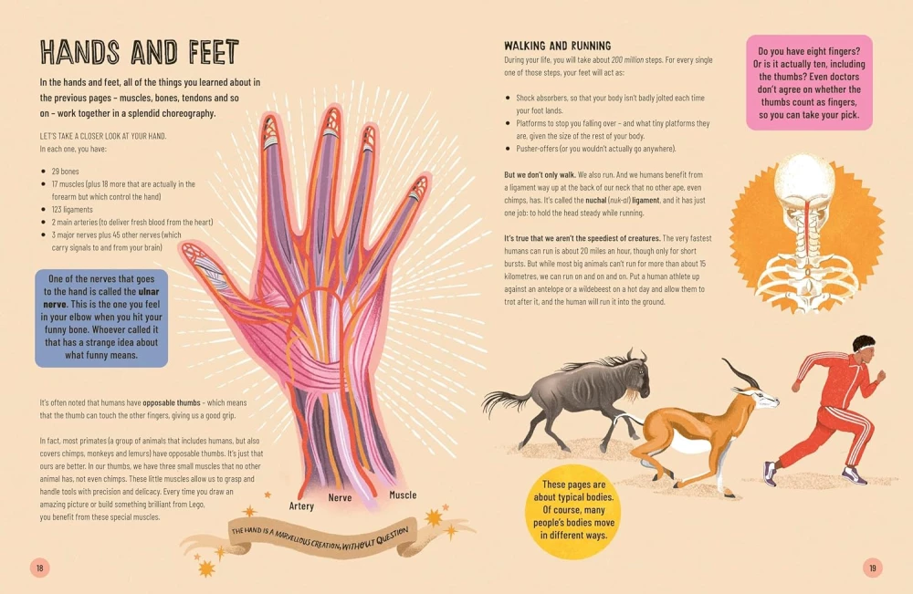 A Really Short Journey Through the Body