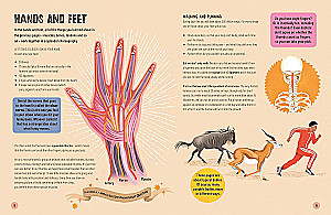 A Really Short Journey Through the Body