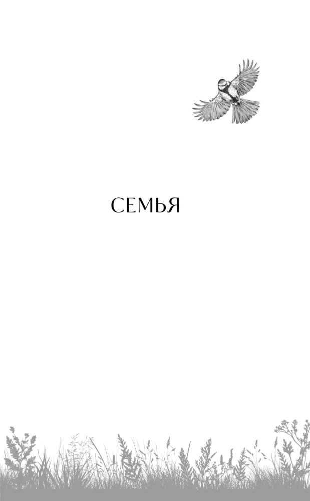 Happiness with the Taste of Wormwood