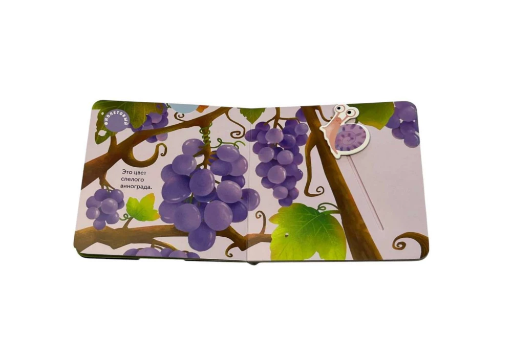 Interaktiivne raamat väikelastele - Erinevad värvid