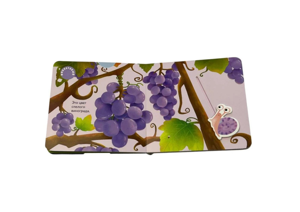 Interaktiivne raamat väikelastele - Erinevad värvid