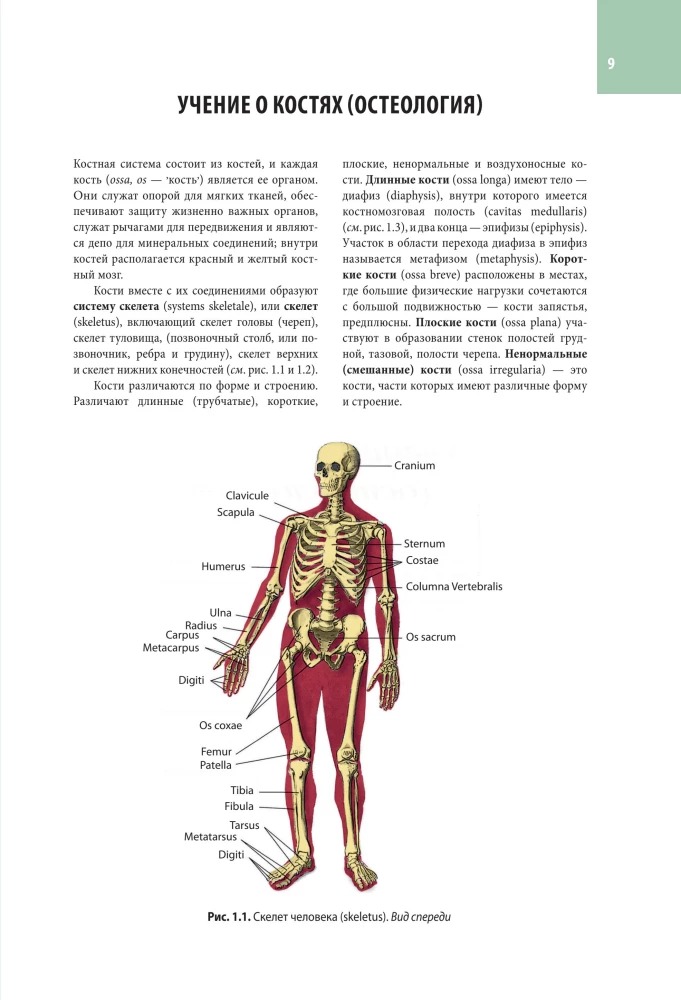 Cilvēka anatomijas atlants. Visas orgāni un sistēmas