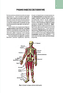 Cilvēka anatomijas atlants. Visas orgāni un sistēmas