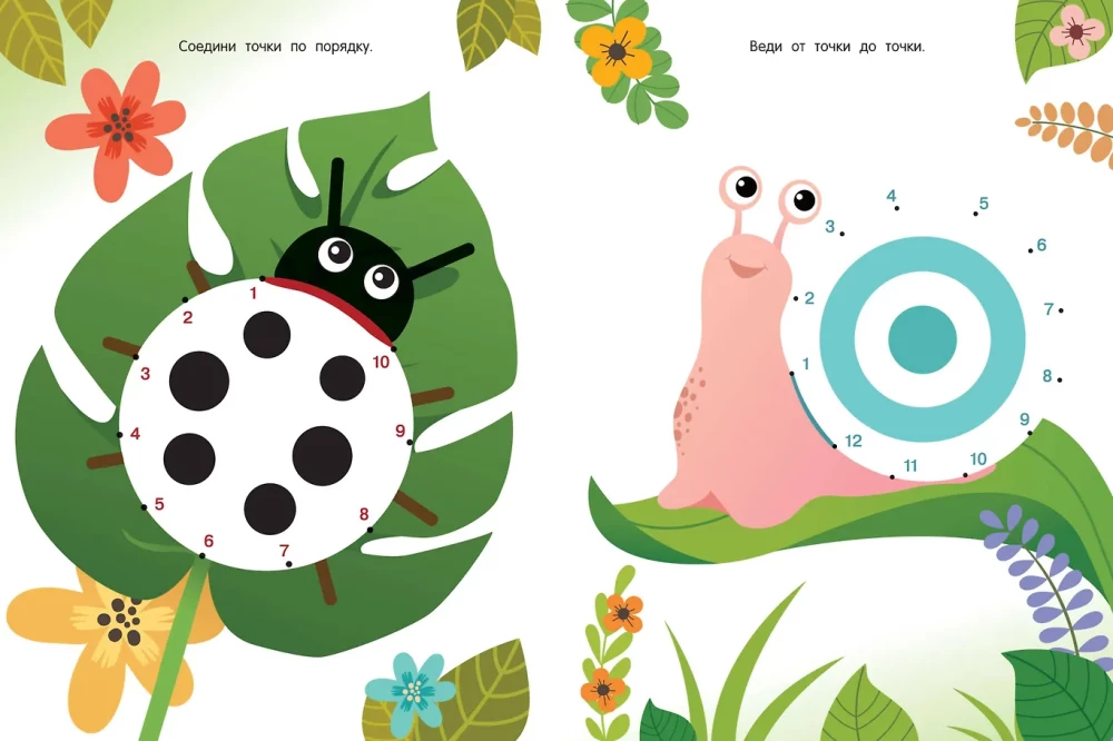 Superpunkte. Von 10 bis 50